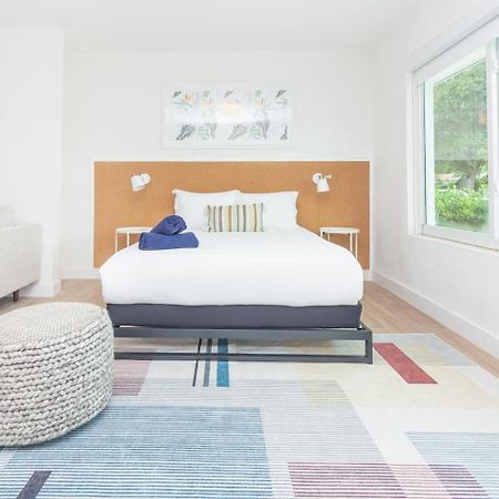 מיאמי Large Stylish Studio Apartment In El Portal #3 מראה חיצוני תמונה